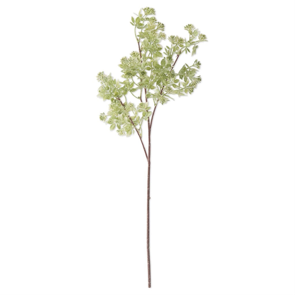 Hoary Cress White Bud Spray 27"