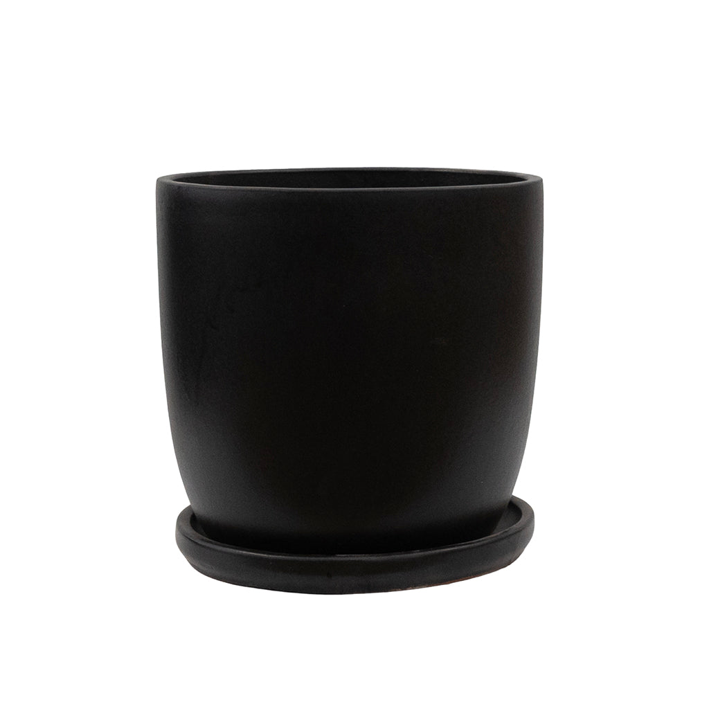 Ceramic Planters, Pots and Containers - Sheridan Nurseries