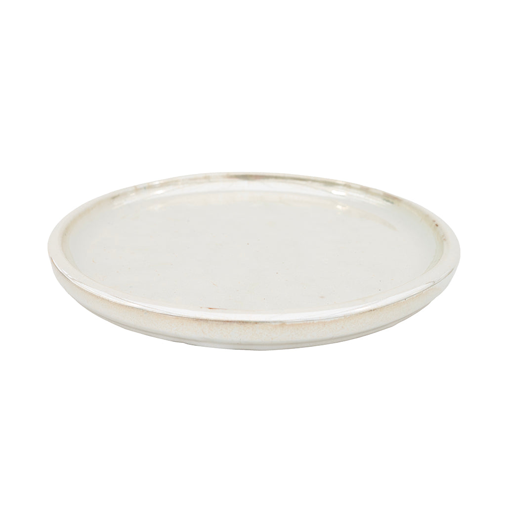 Striped Saucer Pearl