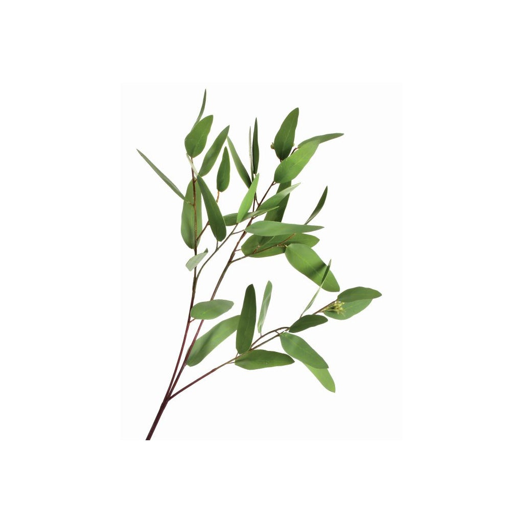 Seeded Long Eucalyptus Spray 31"