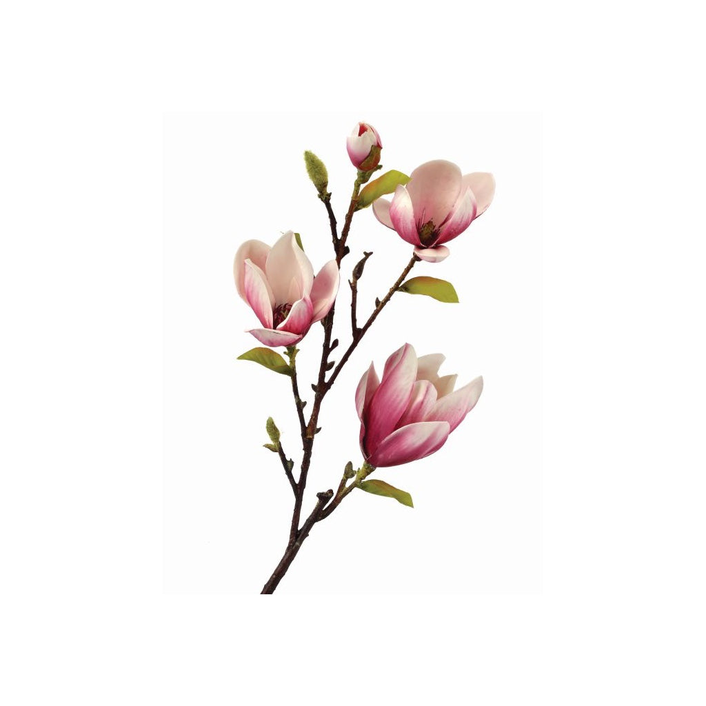 Eva Saucer Magnolia Spray 34" Pink