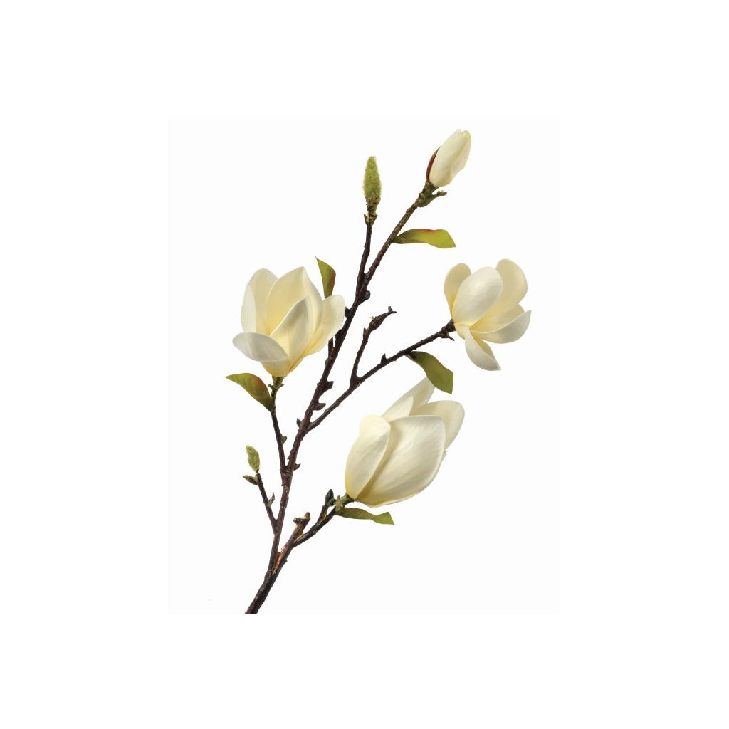 Eva Saucer Magnolia Spray 34" White