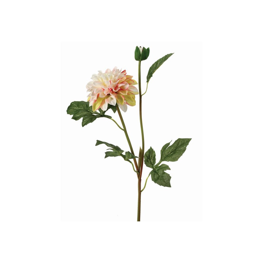Garden Dahlia Spray and Bud 24" Cream