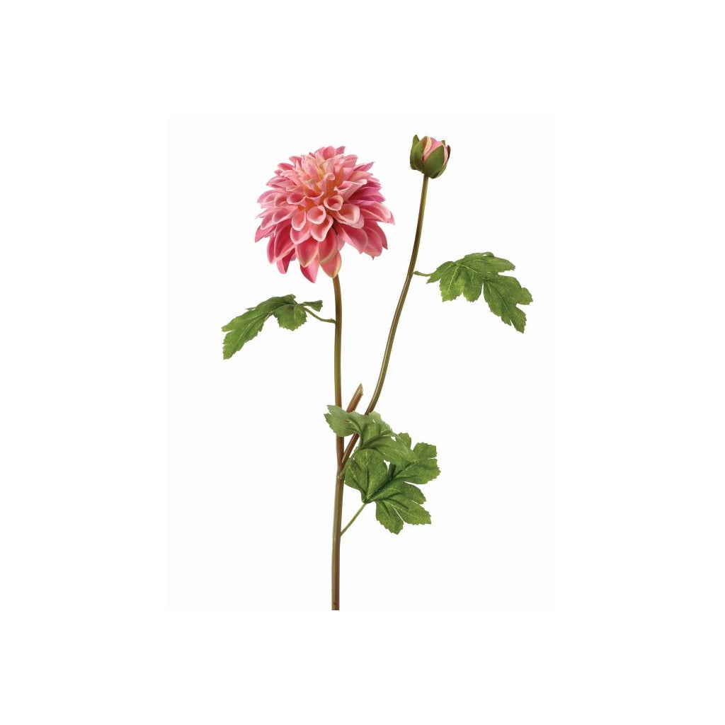 Garden Dahlia Spray and Bud 24" Mauve
