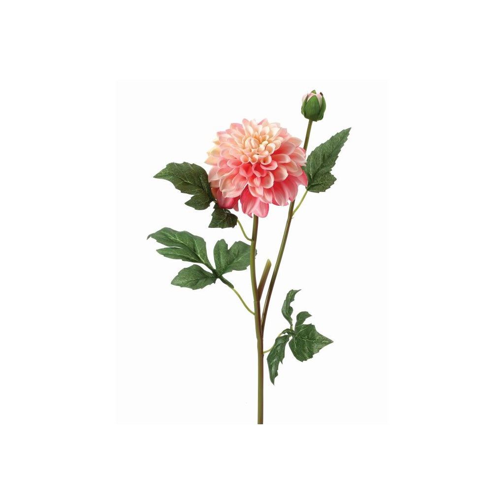 Garden Dahlia Spray and Bud 24" Pink Cream Everlasting