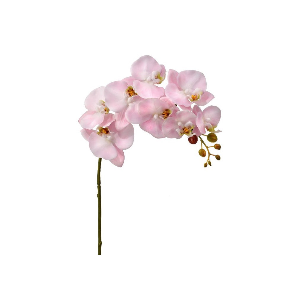 Natural Touch Orchid 34" Pink