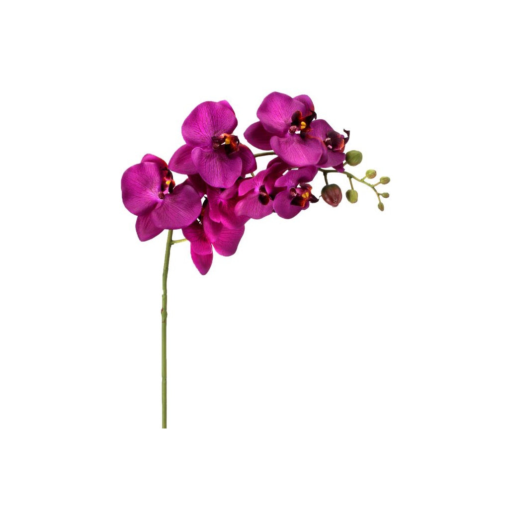 Natural Touch Orchid 34" Violet