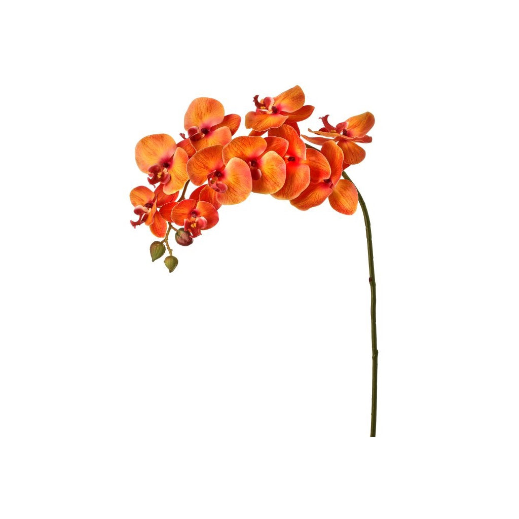 Natural Touch Orchid 34" Orange