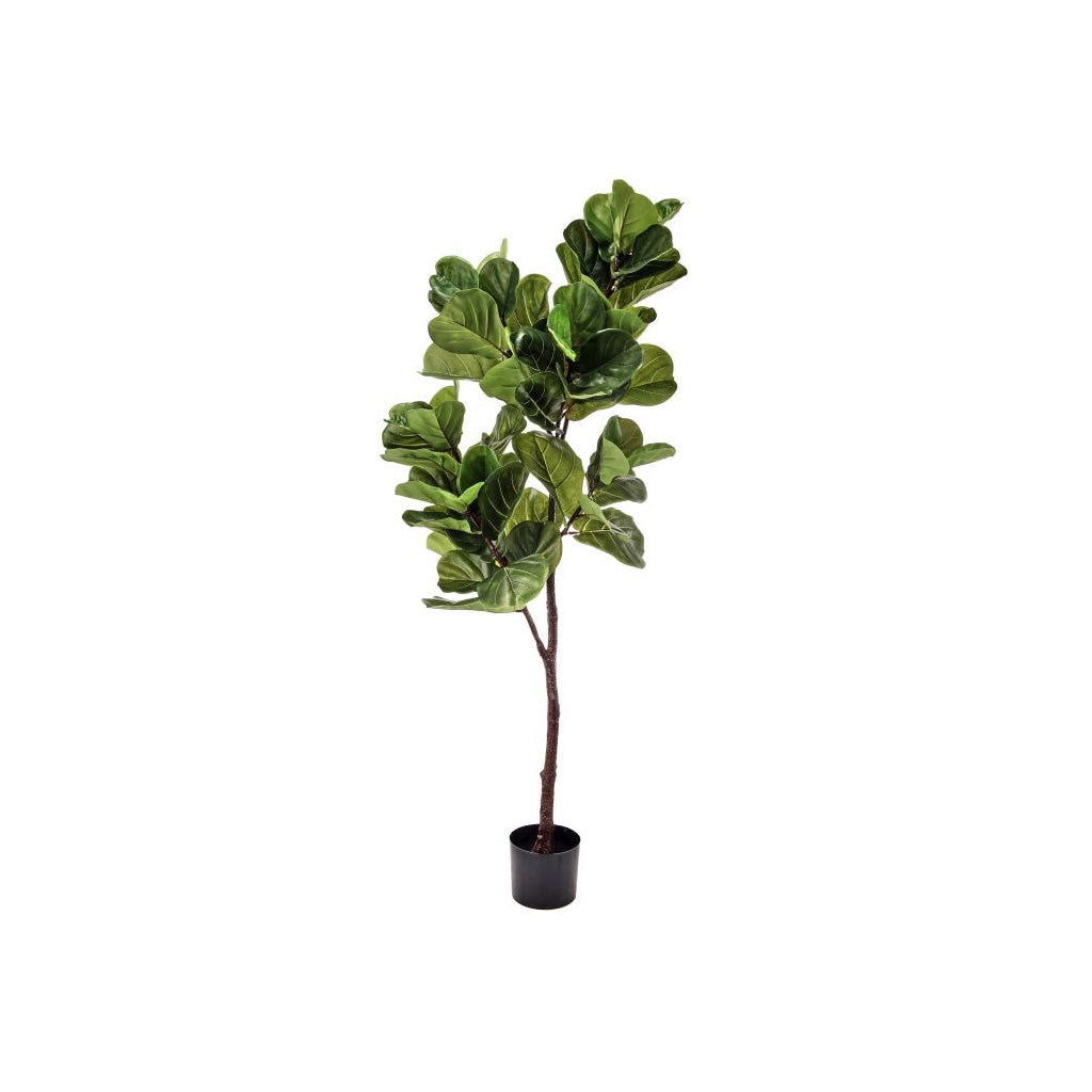 Everlasting Potted Fiddle Leaf Tree 65"