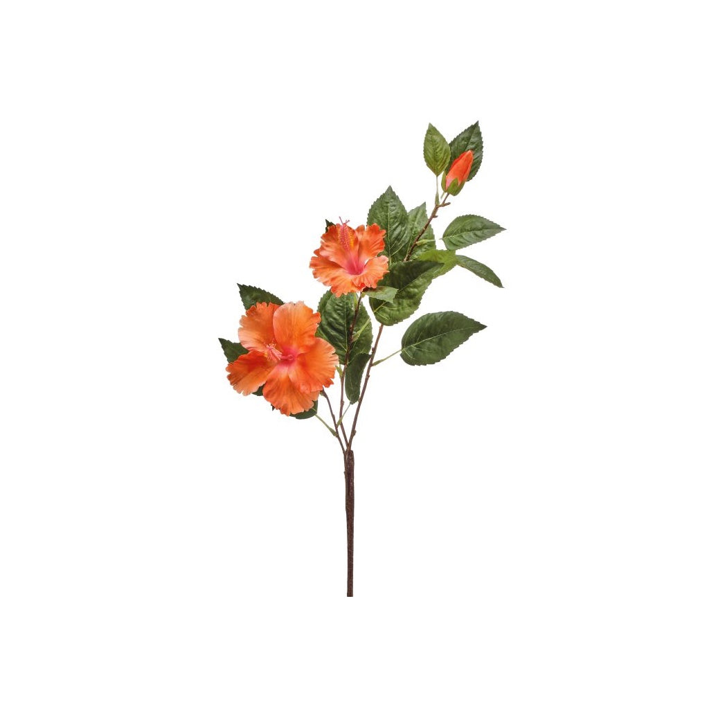 Double Hibiscus & Bud 29" Orange