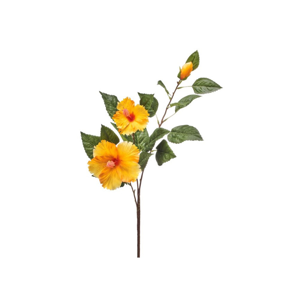 double yellow flower hibiscus potted plant Double Hibiscus & Bud 29" Yellow Everlasting