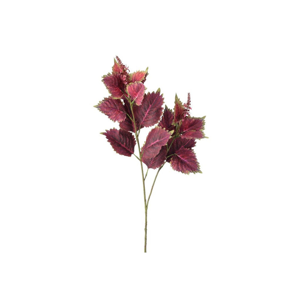 Garden Coleus Spray 34" Red Green