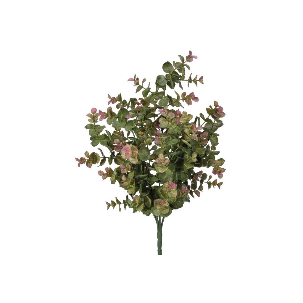Variegated Eucalyptus Bush 15.5" Green Pink
