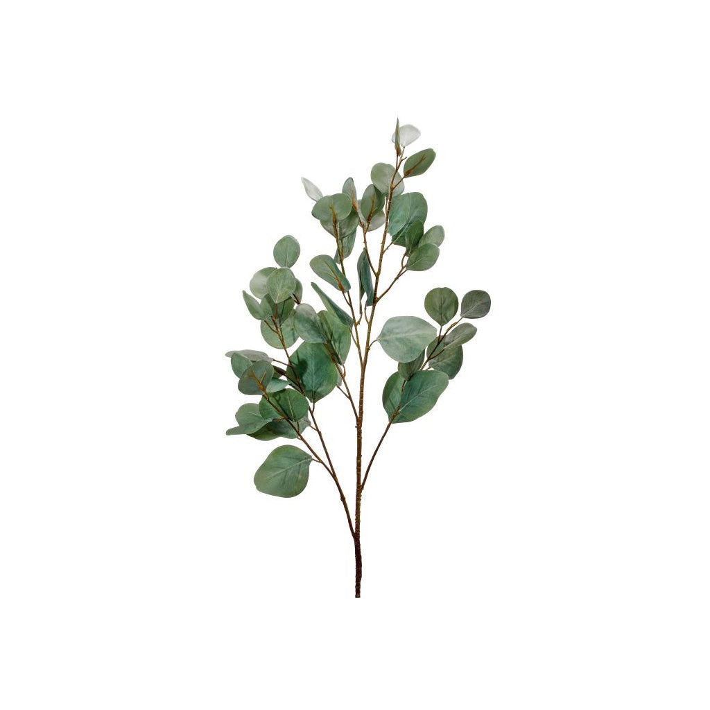 Bleached Silver Dollar Eucalyptus Pray 34" Green