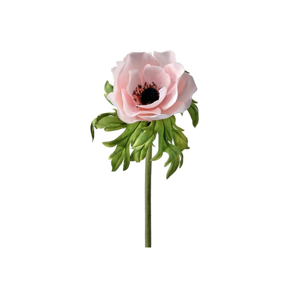 Just Cut Anemone 22" Blush