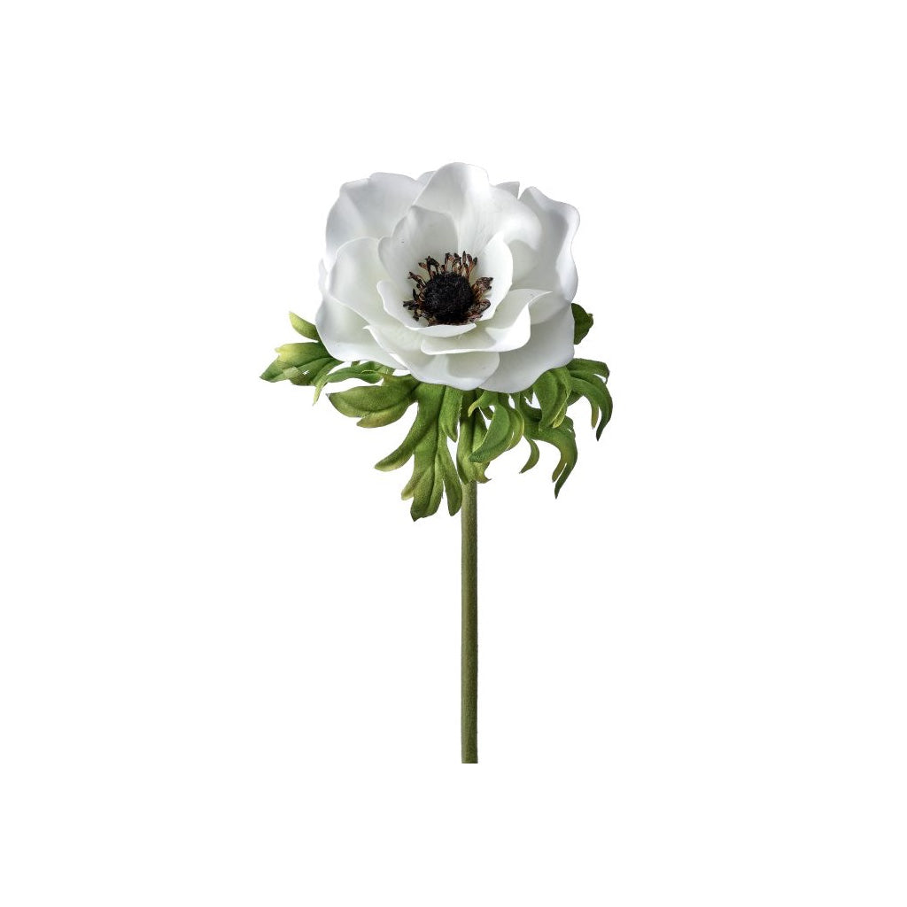 Just Cut Anemone 22" White Green