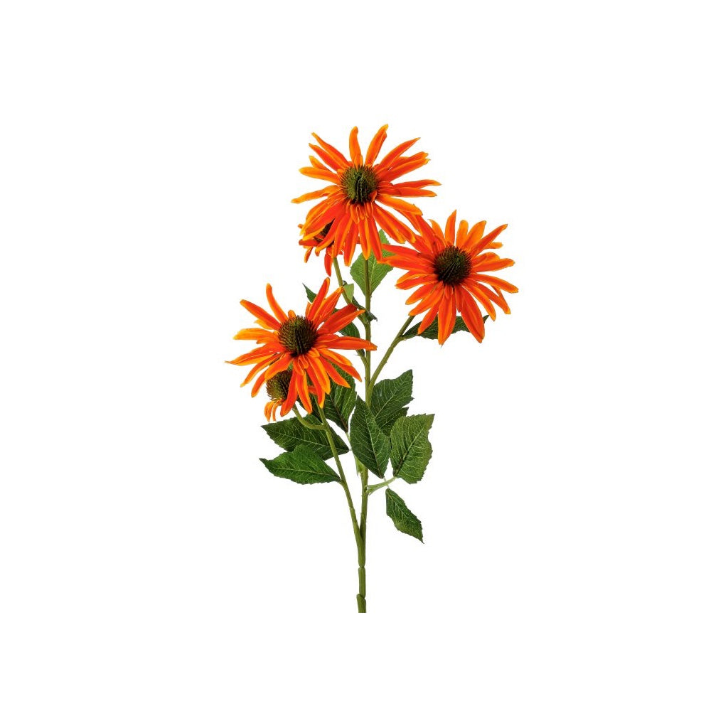 Echinacea Bloom and Bud 29" Orange