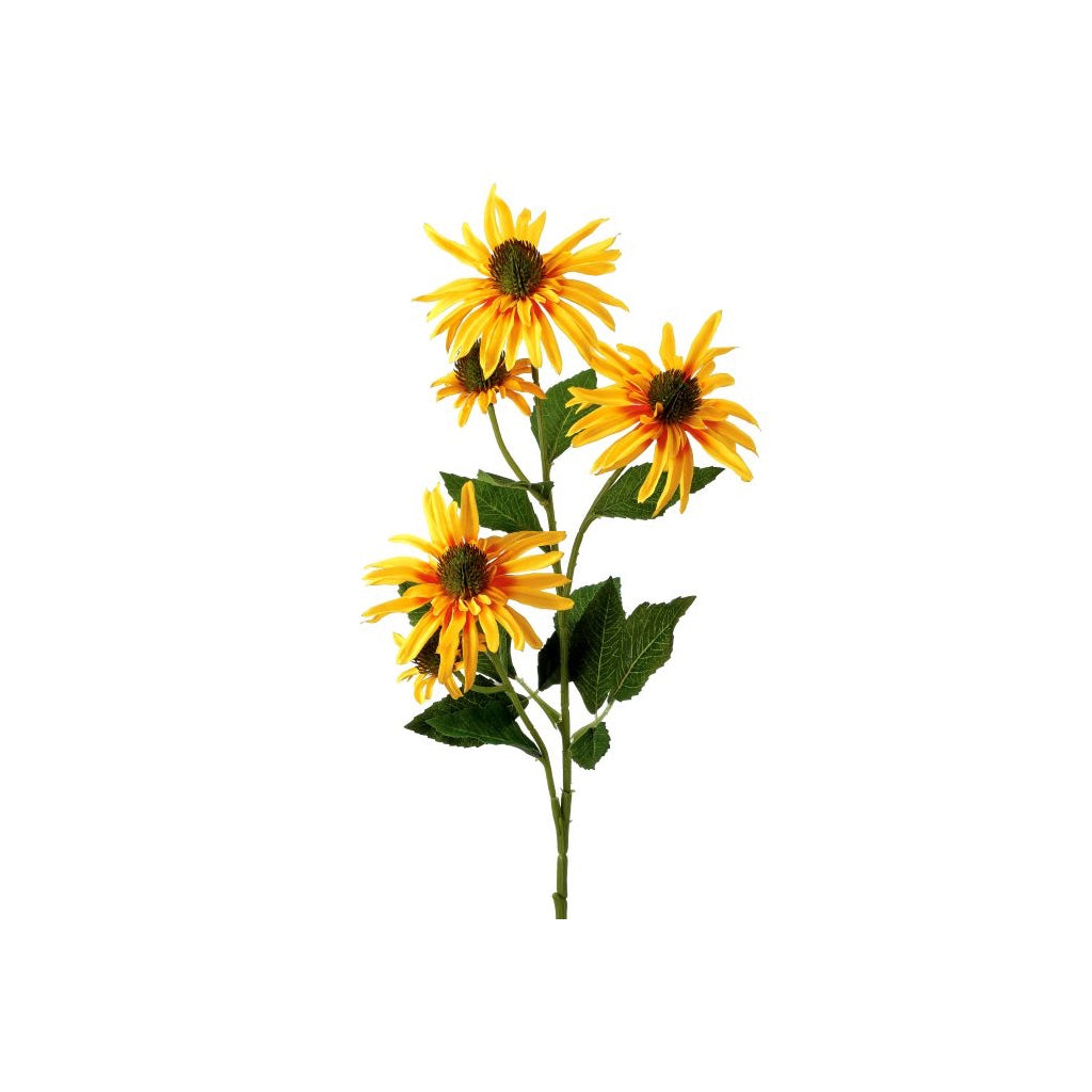 Echinacea Bloom and Bud 29" Yellow