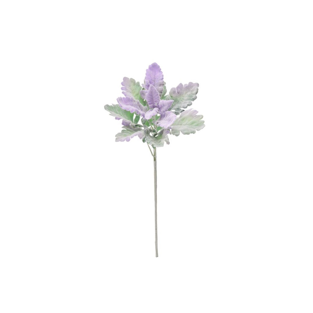 Dusty Miller Stem 18" Lavender Green