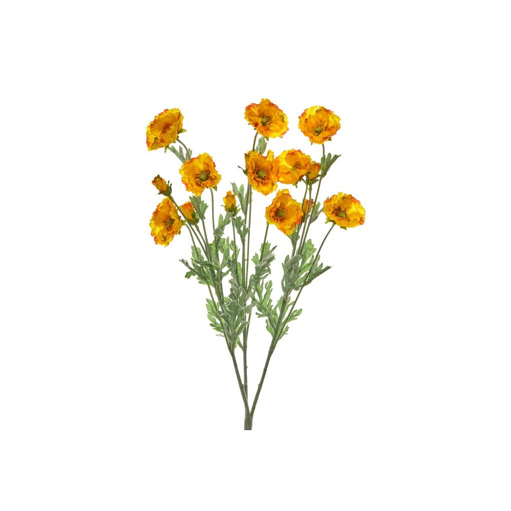 Cosmos Bush 20" Yellow