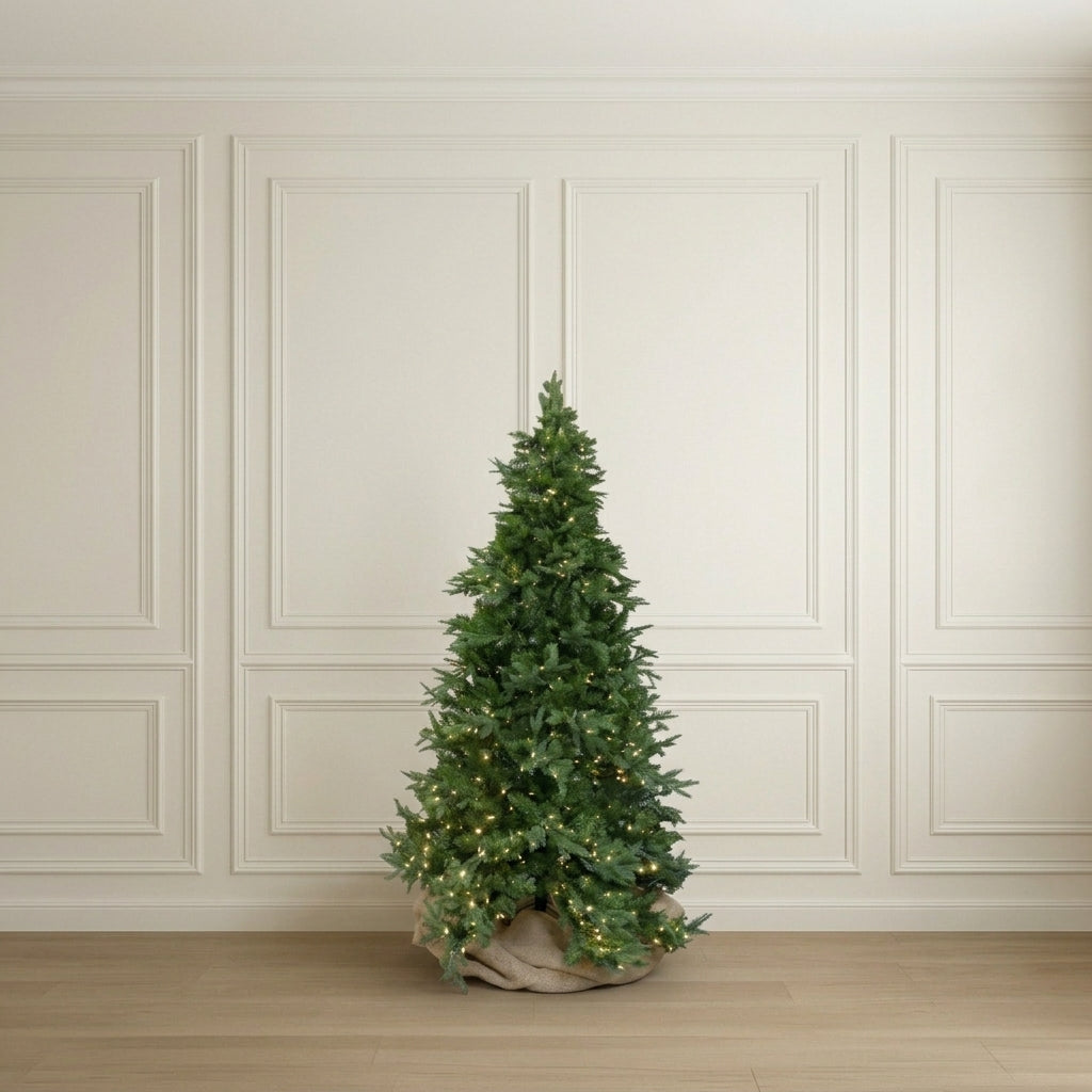 Nordmann Fir Tree 4.5' x 36"