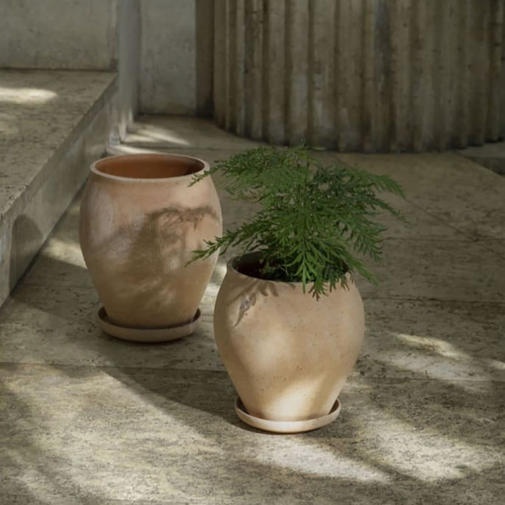 Delphi Pot 7.9" Rosa