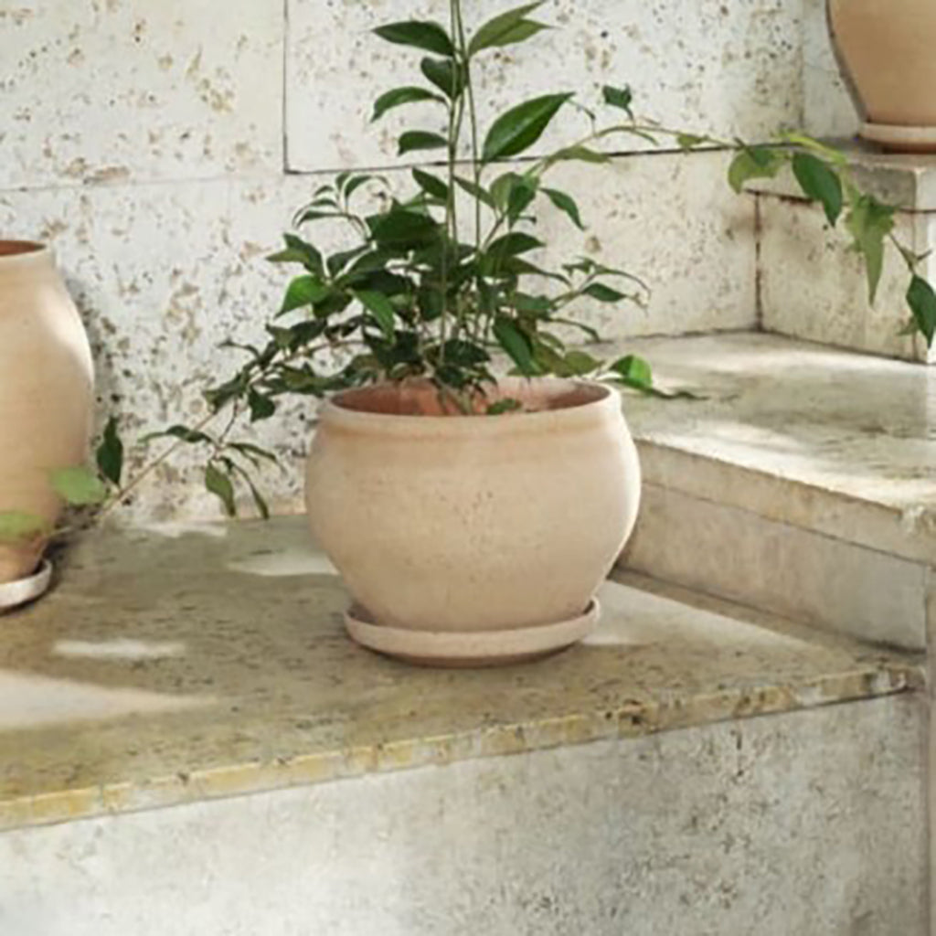 Delphi Low Pot 9.4" Rosa