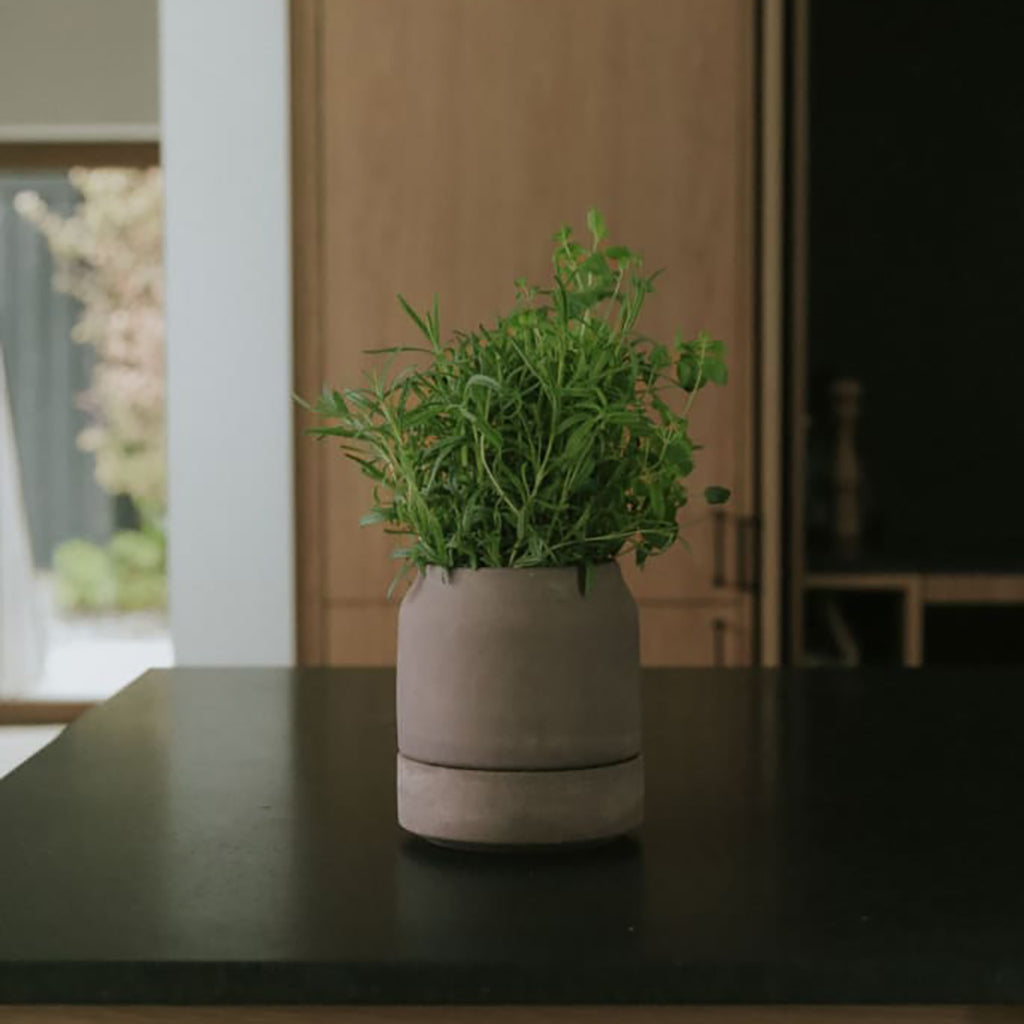 Viva Pot 5.5" Grey