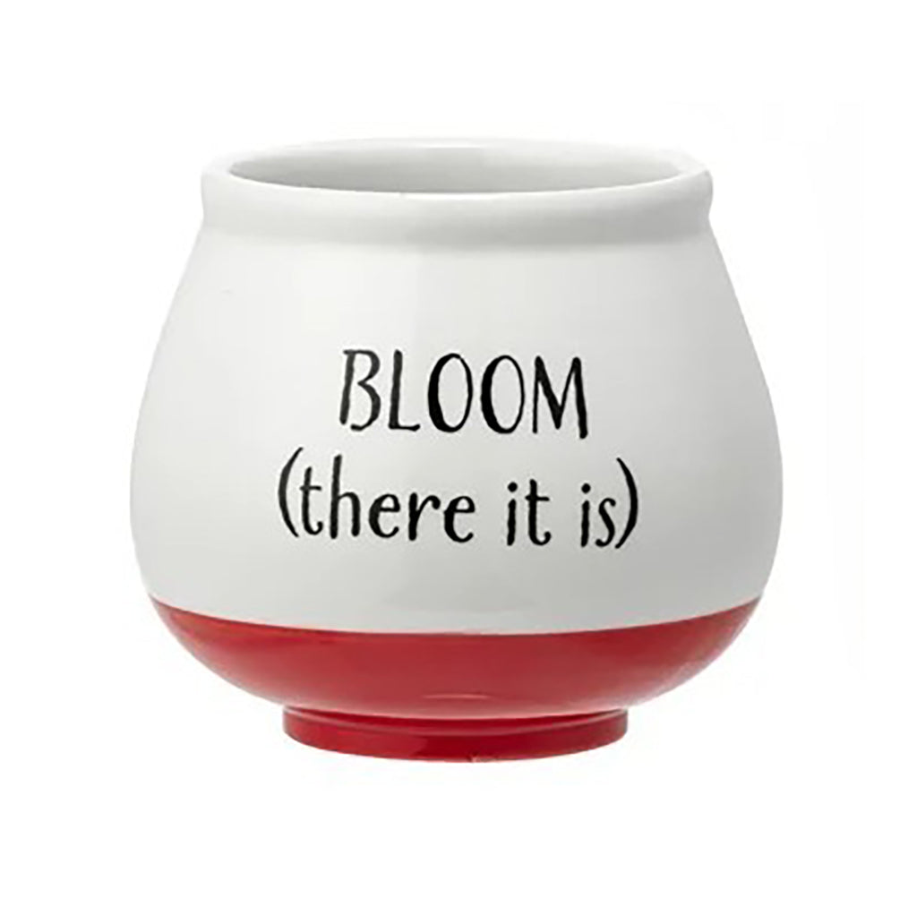 Bloom Witty Planter