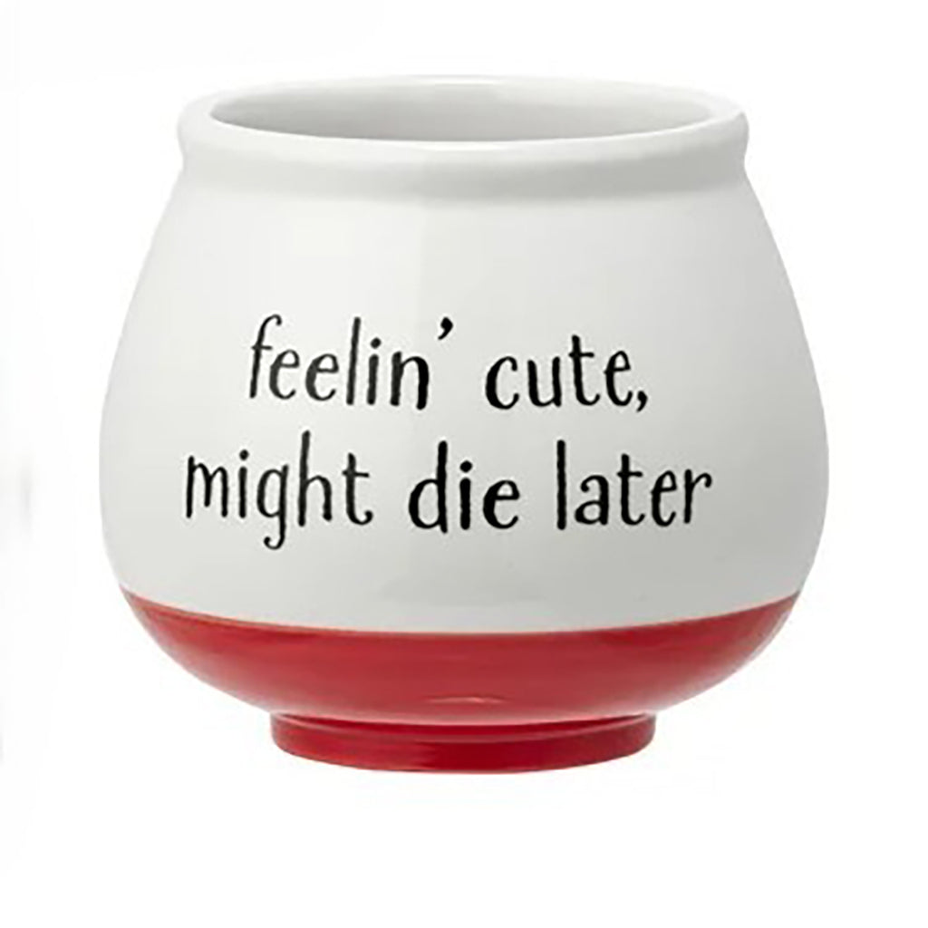 Feelin Cute Witty Planter