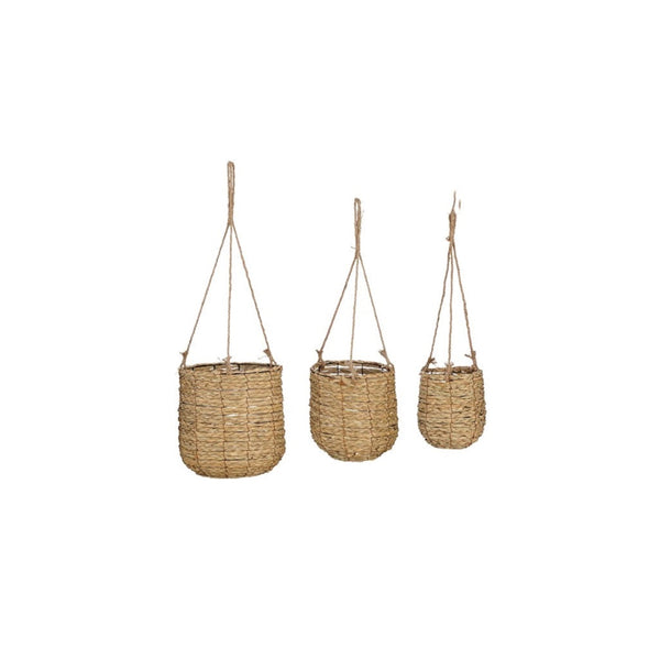 Avalon Hanging Basket Light Brown - Sheridan Nurseries