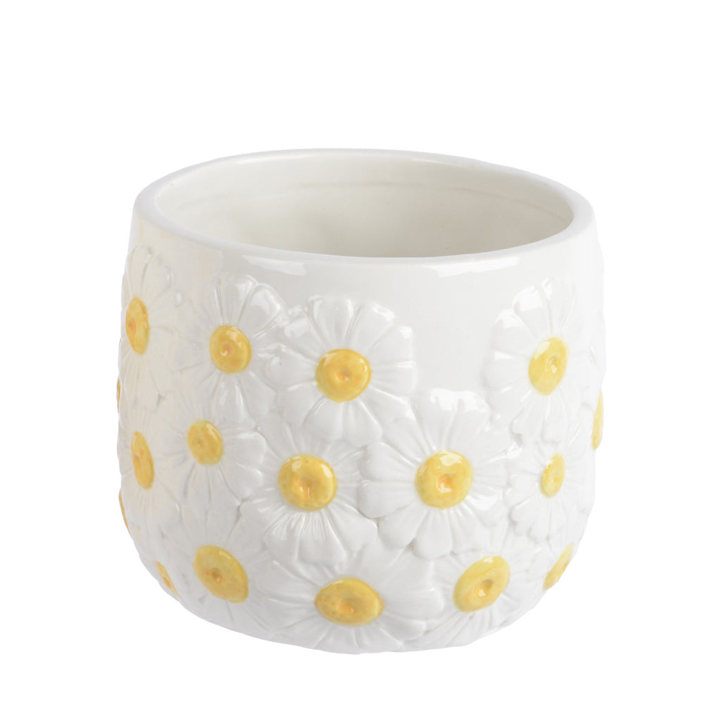 Springtime Daisy Planter