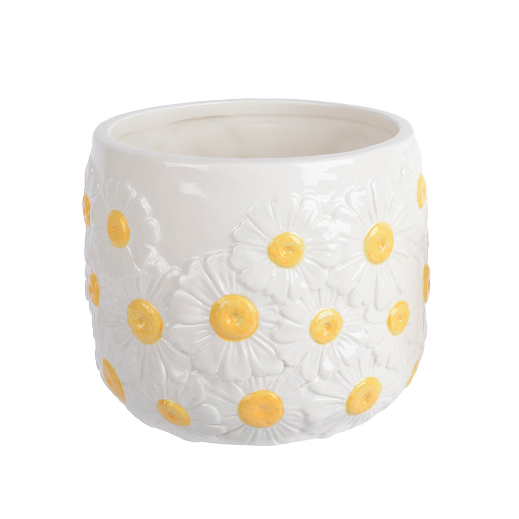 Springtime Daisy Planter