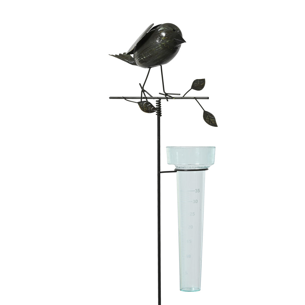 Iron Rain Gauge Bird