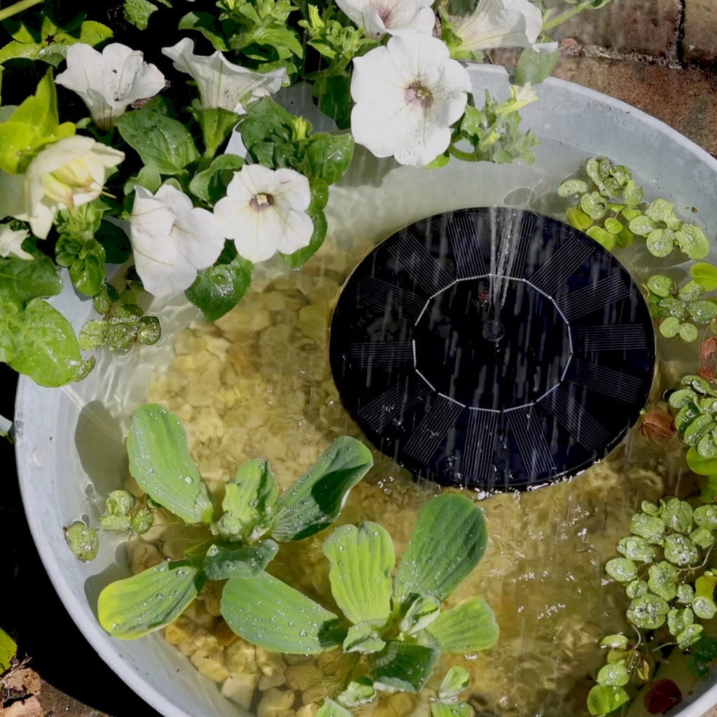 Outdoor Solar Powered Daytime Fountain