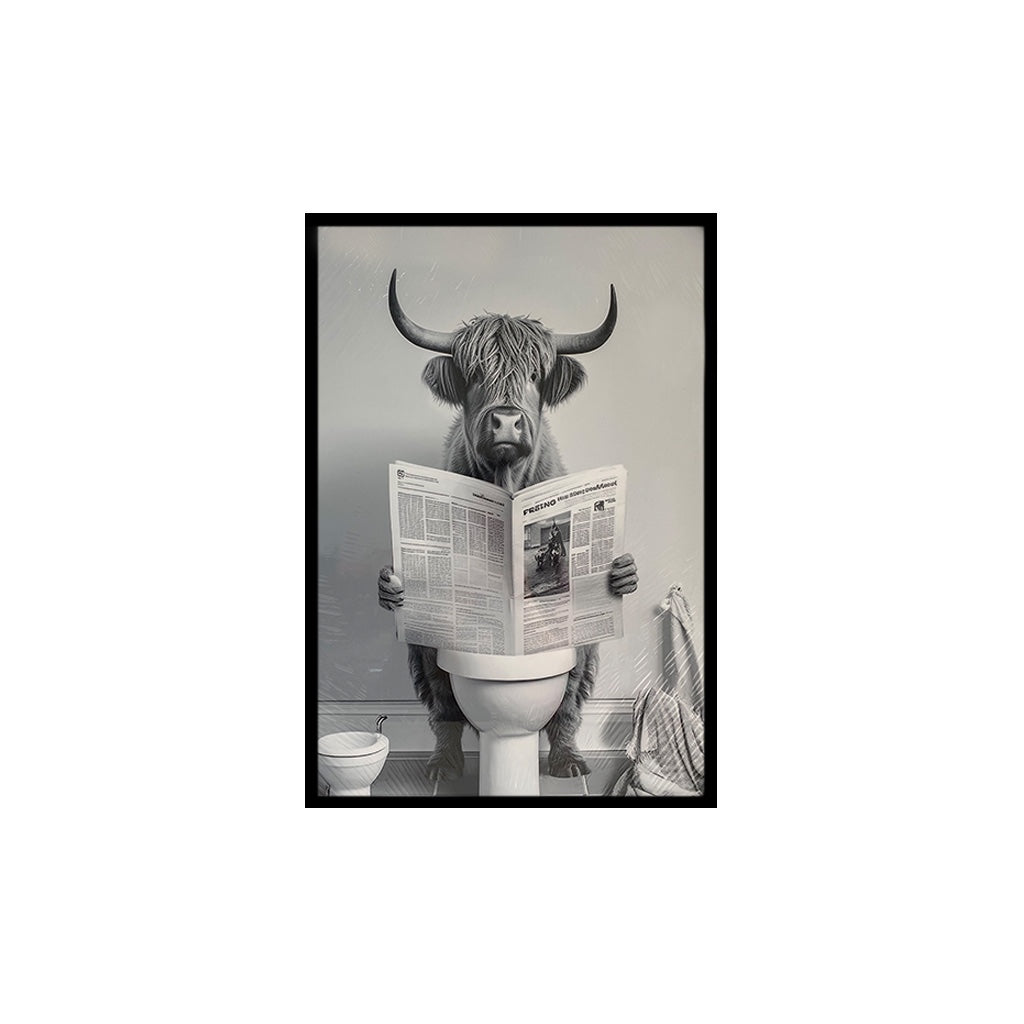 Highland Cow Reading Newspaper