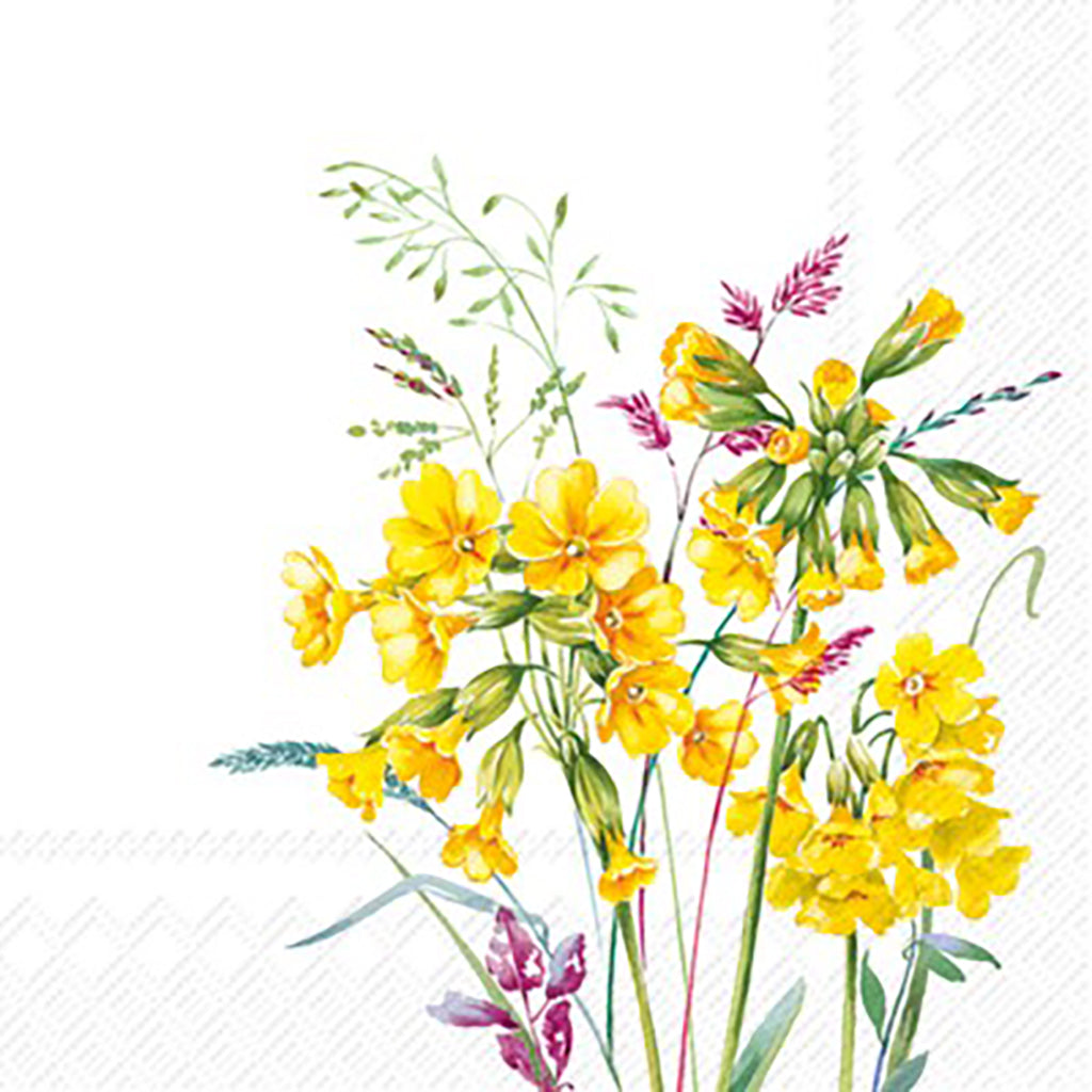 Cabrillo Napkin