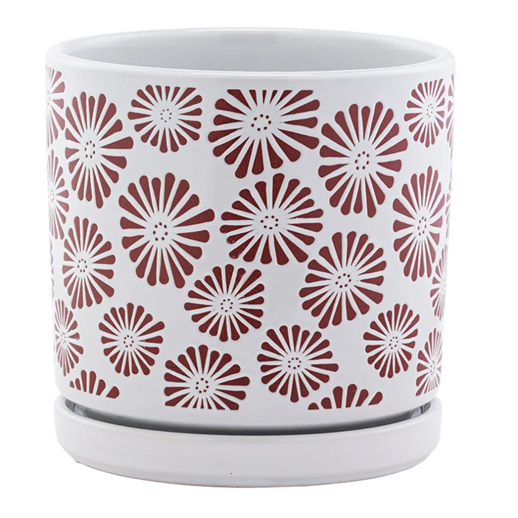 Red Zinnia Planter with Saucer
