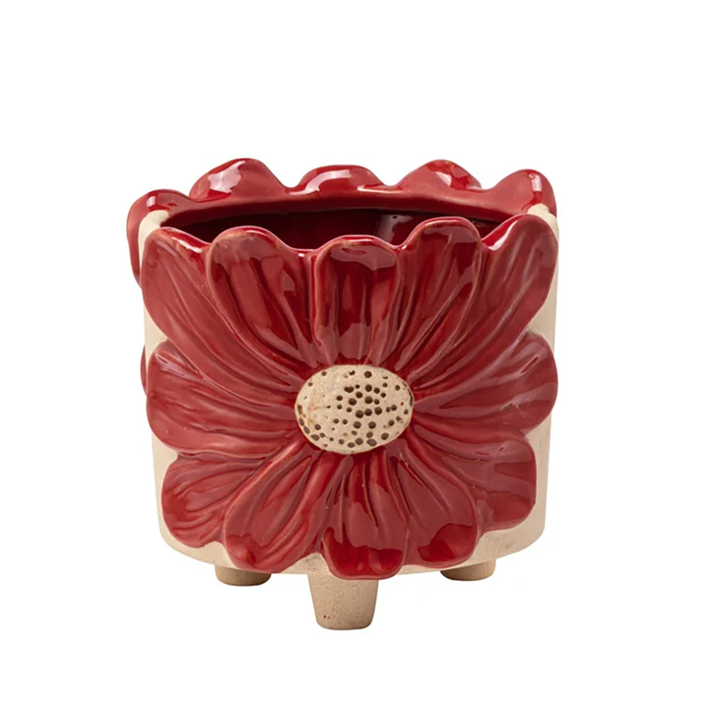 Red Daisy Wrap Planter