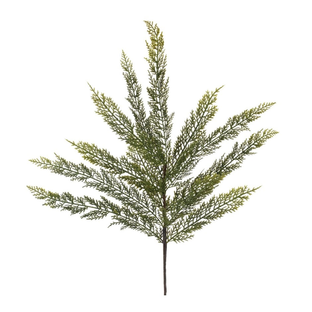 Everlasting Fern Spray 34"