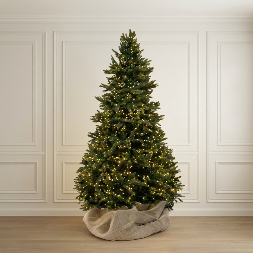 Layered Frasier Fir Cosmic Light Tree 7.5'