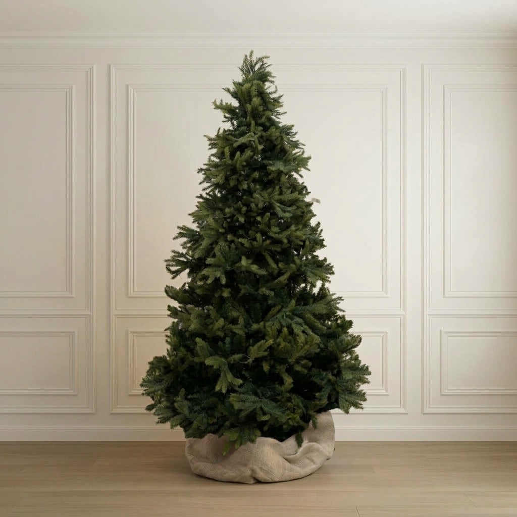 Layered Frasier Fir Unlit Full Tree 7.5'