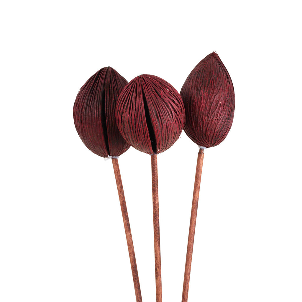 Mintolla Balls Burgundy 3-4Pc
