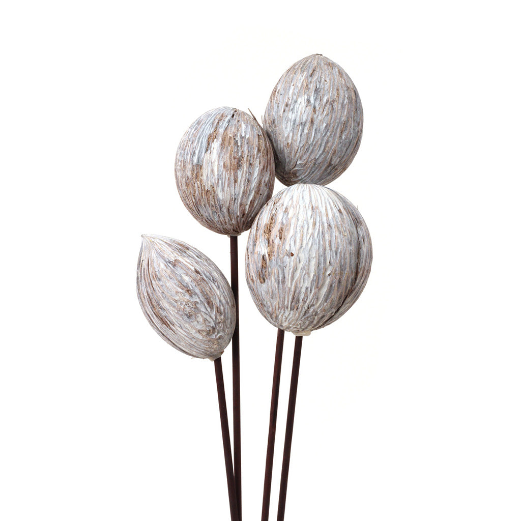 Mintolla Balls White Wash 3-4Pc