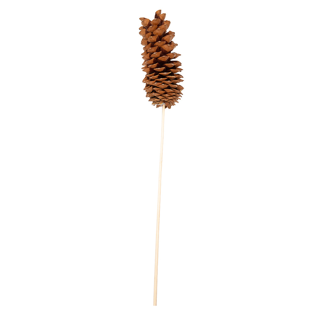 Sugar Cone Consumer Pack Natural