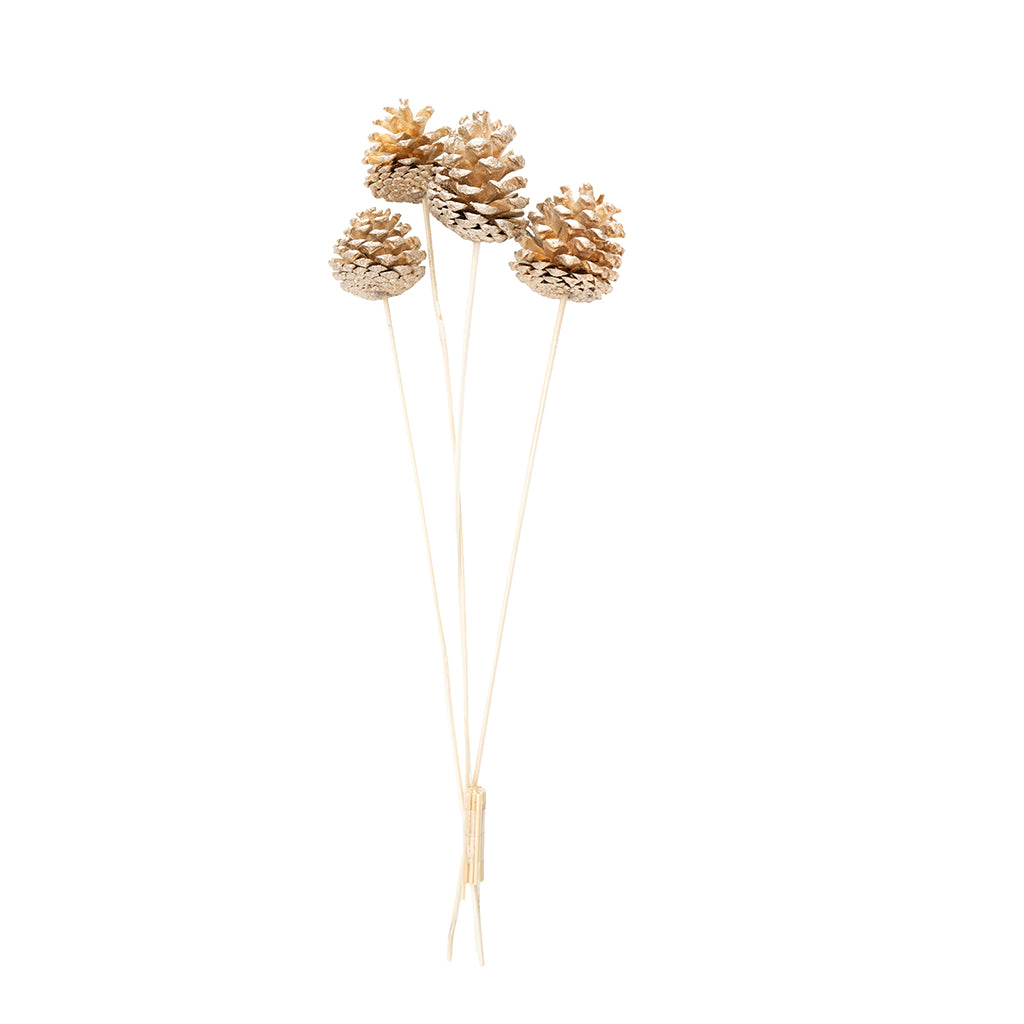 Pine Cone Consumer Pack Champagne Glitter