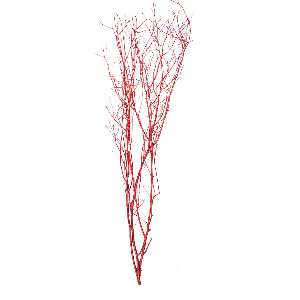 Birch Branches 3-4' Consumer Pack Red Glitter