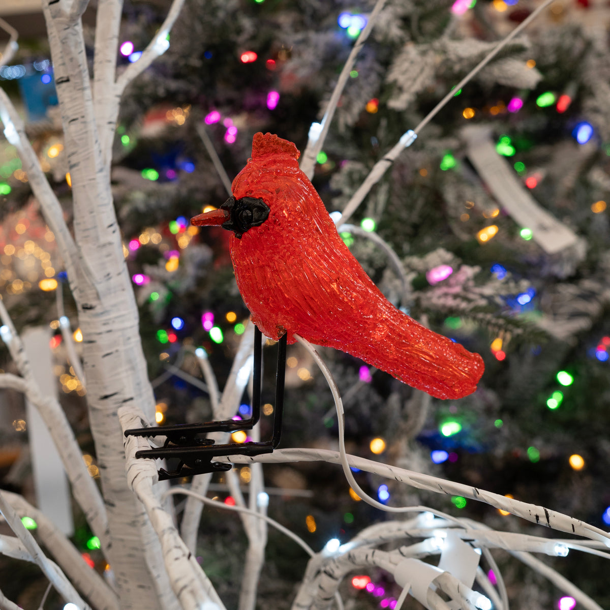 6" Christmas LED Cardinal