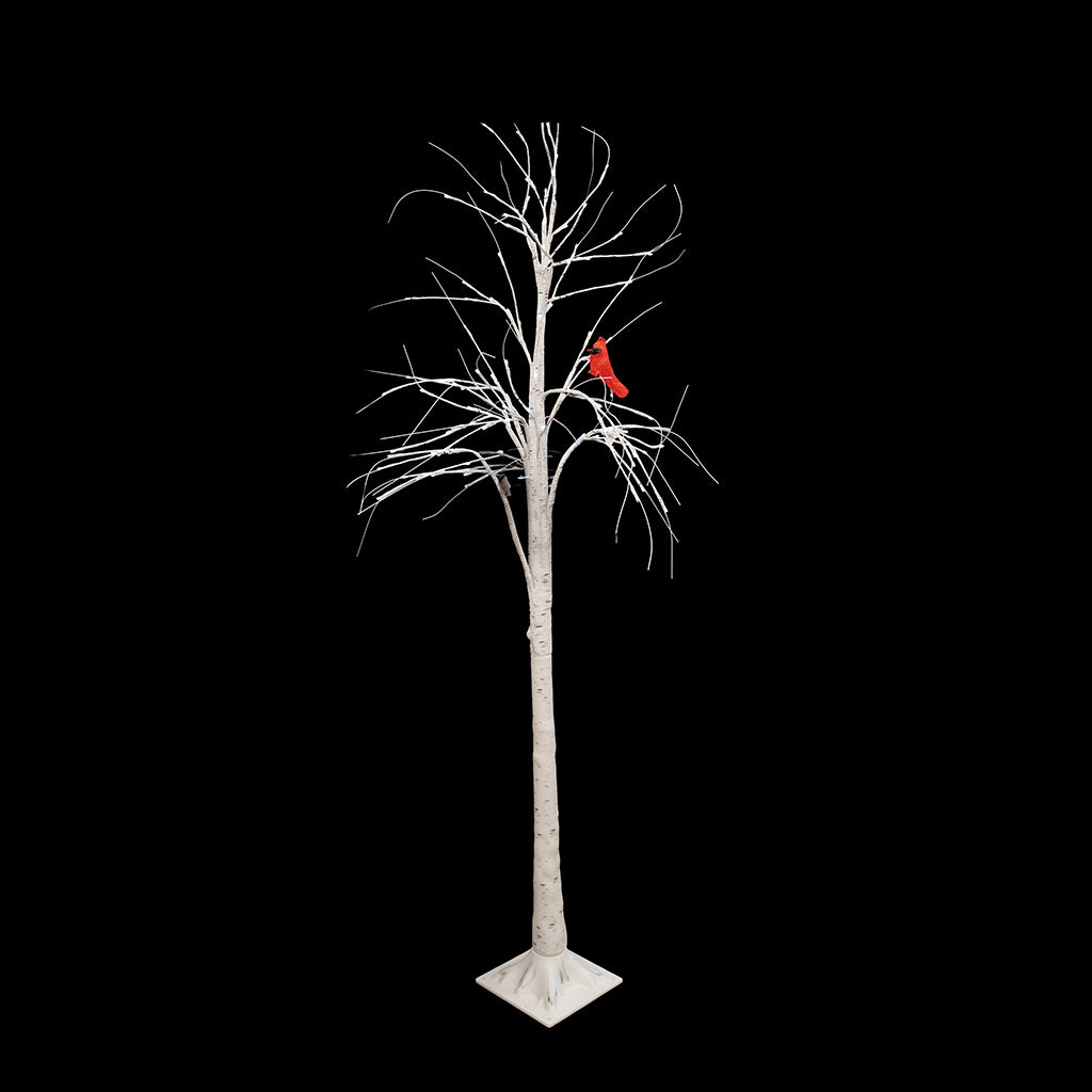 6' LED Birch Tree with Cardinal