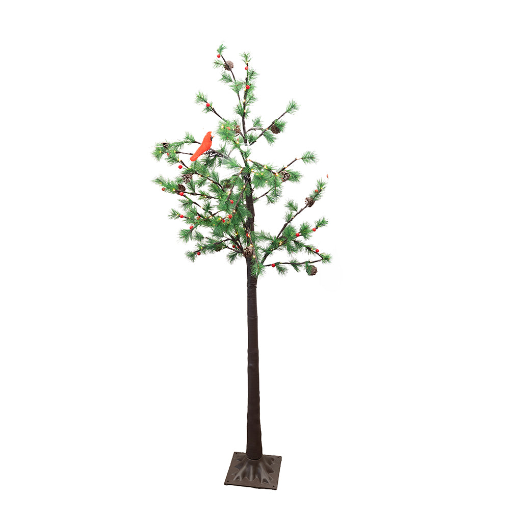 6' Austrian Pine Tree with Berries